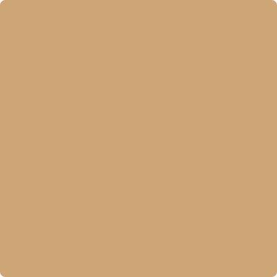 Benjamin Moore's paint color CC-274 Ginger Root from Cincinnati Color Company.