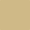 Benjamin Moore's paint color CC-300 Sombrero from Cincinnati Color Company.