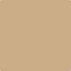 Benjamin Moore's paint color CC-304 Sisal from Cincinnati Color Company.