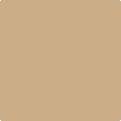 Benjamin Moore's paint color CC-304 Sisal from Cincinnati Color Company.
