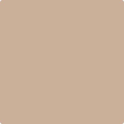 Benjamin Moore's CC-366 Nubuck | Cincinnati Color - Cincinnati