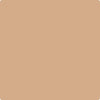 Benjamin Moore's paint color CC-380 Toffee Cream from Cincinnati Color Company.