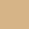 Benjamin Moore's paint color CC-410 Boardwalk from Cincinnati Color Company.