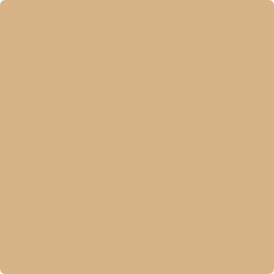 Benjamin Moore's paint color CC-410 Boardwalk from Cincinnati Color Company.