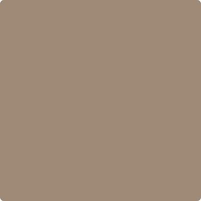 Benjamin Moore's paint color CC-514 Hiking Trail from Cincinnati Color Company.