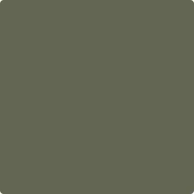 Benjamin Moore's paint color CC-570 Forest Floor from Cincinnati Color Company.