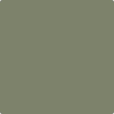 Benjamin Moore's paint color CC-600 Mossy Oak from Cincinnati Color Company.