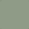 Benjamin Moore's paint color CC-620 High Park from Cincinnati Color Company.