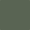 Benjamin Moore's paint color CC-630 Backwoods from Cincinnati Color Company.