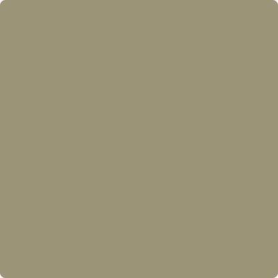 Benjamin Moore's paint color CC-632 Bed of Ferns from Cincinnati Color Company.