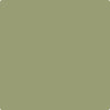 Benjamin Moore's paint color CC-668 Misted Fern from Cincinnati Color Company.