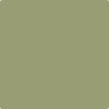 Benjamin Moore's paint color CC-668 Misted Fern from Cincinnati Color Company.