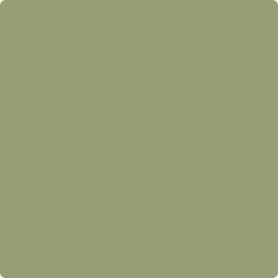 Benjamin Moore's paint color CC-668 Misted Fern from Cincinnati Color Company.