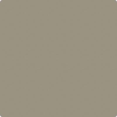 Benjamin Moore's paint color CC-696 Taiga from Cincinnati Color Company.