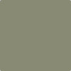 Benjamin Moore's paint color CC-722 Vineland from Cincinnati Color Company.