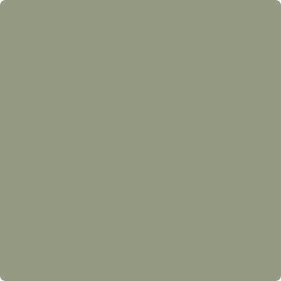 Benjamin Moore's paint color CC-724 Homestead from Cincinnati Color Company.