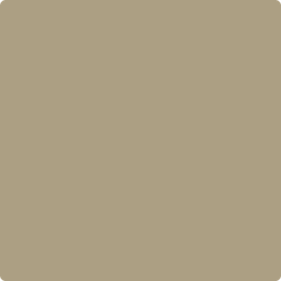 Benjamin Moore paint color CSP-1040 Shiitake Mushroom at Cincinnati Colors in Concinatti, OH.