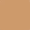 Benjamin Moore paint color CSP-1070 Warm Sun Glow at Cincinnati Colors in Concinatti, OH.