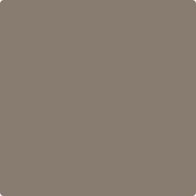 Benjamin Moore paint color CSP-195 Porcini at Cincinnati Colors in Concinatti, OH.