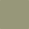 Benjamin Moore paint color CSP-825 Thayer Green at Cincinnati Colors in Concinatti, OH.