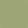 Benjamin Moore paint color CSP-840 Barefoot in the Grass at Cincinnati Colors in Concinatti, OH.