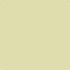 Benjamin Moore paint color CSP-845 Lime Sherbert at Cincinnati Colors in Concinatti, OH.