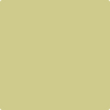 Benjamin Moore paint color CSP-850 Green Hydrangea at Cincinnati Colors in Concinatti, OH.