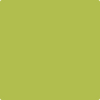 Benjamin Moore paint color CSP-865 Limeade at Cincinnati Colors in Concinatti, OH.