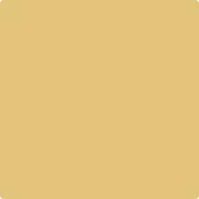 Benjamin Moore's paint color HC-11 Marblehead Gold from Cincinnati Color Company.