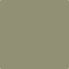 Benjamin Moore's paint color HC-110 Weatherfield Moss from Cincinnati Color Company.