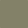 Benjamin Moore's paint color HC-112 Tate Olive from Cincinnati Color Company.