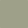 Benjamin Moore's paint color HC-113 Louisburg Green from Cincinnati Color Company.