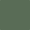 Benjamin Moore's paint color HC-121 Paele Green from Cincinnati Color Company.