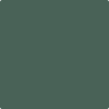 Benjamin Moore's paint color HC-135 Lafayette Green from Cincinnati Color Company.