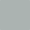 Benjamin Moore's paint color HC-165 Boothbay Gray from Cincinnati Color Company.